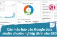 Các mẫu báo cáo Google data studio chuyên nghiệp dành cho SEO